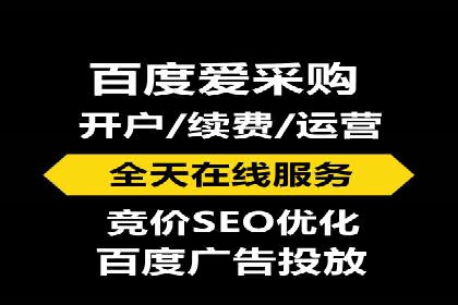 SEO策略在电商平台的成功应用案例